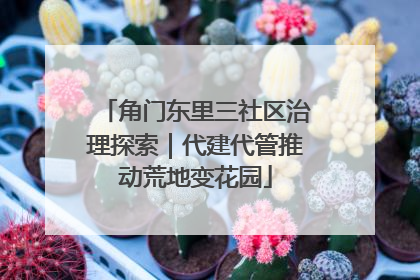 角门东里三社区治理探索｜代建代管推动荒地变花园