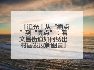 追光丨从“痛点”到“亮点”：看文昌街道如何绣出村居发展新图景