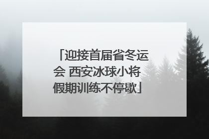 迎接首届省冬运会 西安冰球小将假期训练不停歇