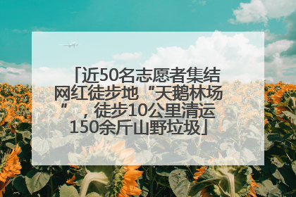 近50名志愿者集结网红徒步地“天鹅林场”，徒步10公里清运150余斤山野垃圾