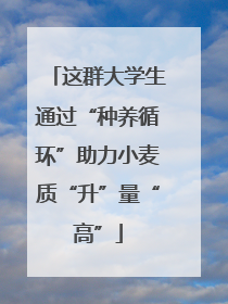 这群大学生通过“种养循环”助力小麦质“升”量“高”