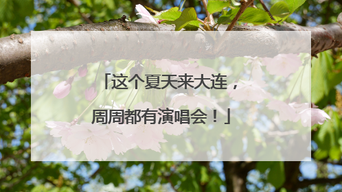 这个夏天来大连，周周都有演唱会！
