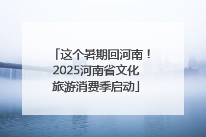 这个暑期回河南！2025河南省文化旅游消费季启动