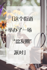 这个街道举办了一场“盆友圈”派对
