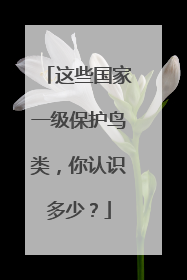 这些国家一级保护鸟类，你认识多少？