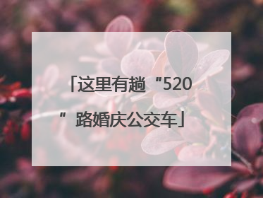 这里有趟“520”路婚庆公交车