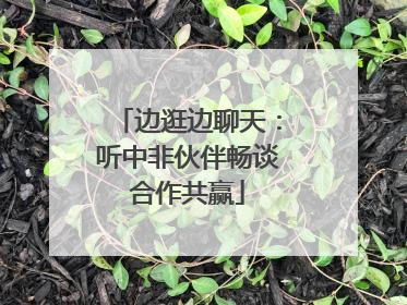 边逛边聊天：听中非伙伴畅谈合作共赢