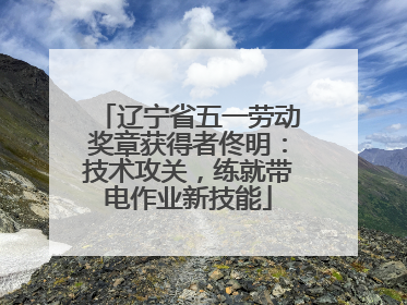 辽宁省五一劳动奖章获得者佟明：技术攻关，练就带电作业新技能