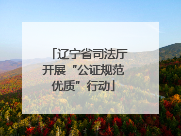 辽宁省司法厅开展“公证规范优质”行动