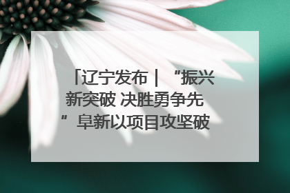 辽宁发布｜“振兴新突破 决胜勇争先”阜新以项目攻坚破解发展瓶颈 经济发展实现良好开局
