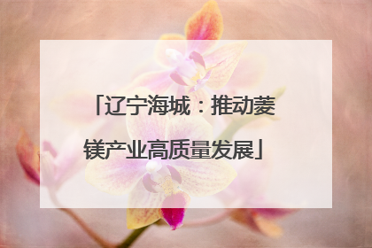 辽宁海城：推动菱镁产业高质量发展