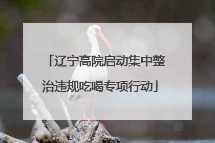辽宁高院启动集中整治违规吃喝专项行动