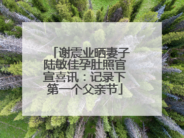 谢震业晒妻子陆敏佳孕肚照官宣喜讯：记录下第一个父亲节