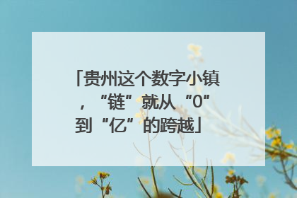 贵州这个数字小镇，“链”就从“0”到“亿”的跨越