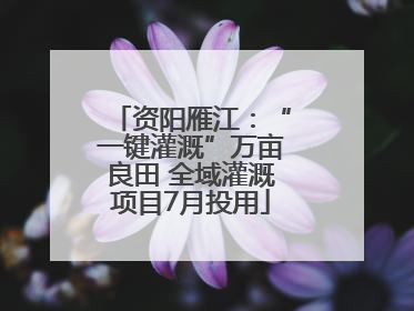 资阳雁江：“一键灌溉”万亩良田 全域灌溉项目7月投用
