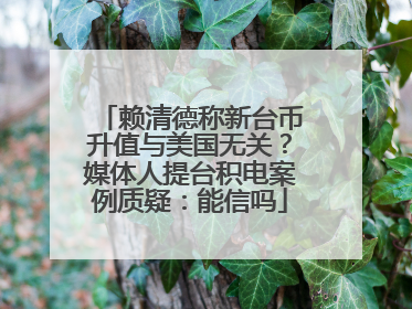 赖清德称新台币升值与美国无关？媒体人提台积电案例质疑：能信吗