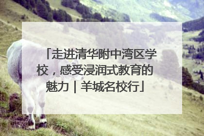 走进清华附中湾区学校，感受浸润式教育的魅力｜羊城名校行
