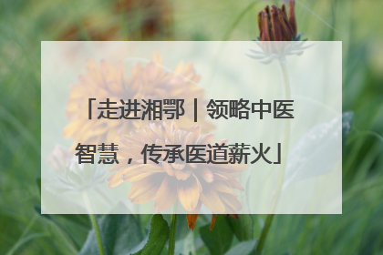 走进湘鄂｜领略中医智慧，传承医道薪火