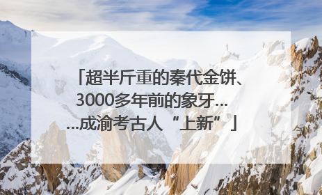 超半斤重的秦代金饼、3000多年前的象牙……成渝考古人“上新”