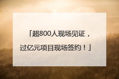 超800人现场见证，过亿元项目现场签约！