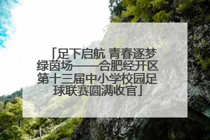 足下启航 青春逐梦绿茵场——合肥经开区第十三届中小学校园足球联赛圆满收官