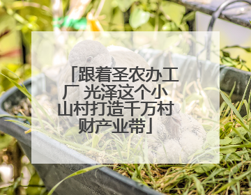 跟着圣农办工厂 光泽这个小山村打造千万村财产业带