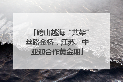 跨山越海“共架”丝路金桥，江苏、中亚迎合作黄金期