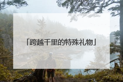 跨越千里的特殊礼物