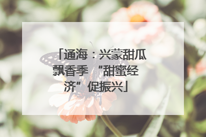 通海：兴蒙甜瓜飘香季 “甜蜜经济”促振兴