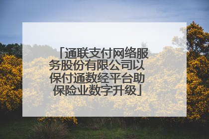 通联支付网络服务股份有限公司以保付通数经平台助保险业数字升级