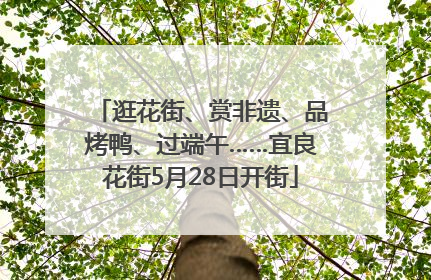 逛花街、赏非遗、品烤鸭、过端午……宜良花街5月28日开街