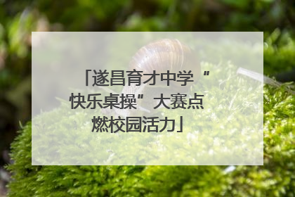 遂昌育才中学“快乐桌操”大赛点燃校园活力