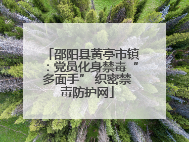 邵阳县黄亭市镇：党员化身禁毒“多面手” 织密禁毒防护网