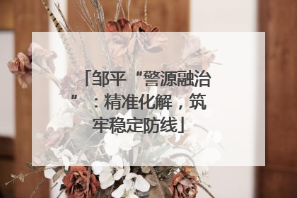 邹平“警源融治”：精准化解，筑牢稳定防线