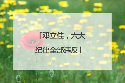 邓立佳，六大纪律全部违反