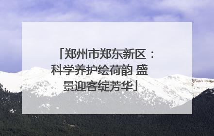 郑州市郑东新区：科学养护绘荷韵 盛景迎客绽芳华