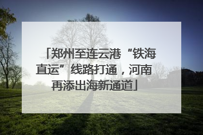 郑州至连云港“铁海直运”线路打通，河南再添出海新通道