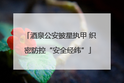 酒泉公安披星执甲 织密防控“安全经纬”