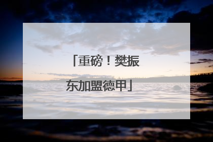 重磅！樊振东加盟德甲