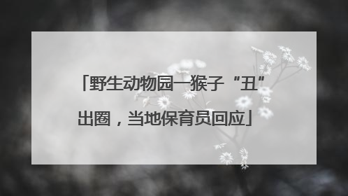 野生动物园一猴子“丑”出圈，当地保育员回应
