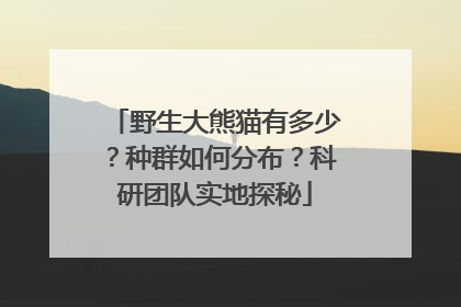 野生大熊猫有多少？种群如何分布？科研团队实地探秘