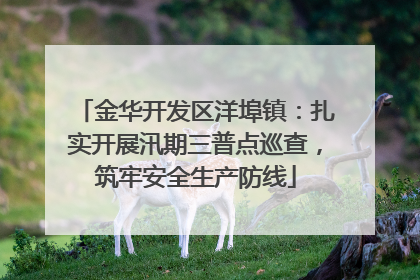 金华开发区洋埠镇：扎实开展汛期三普点巡查，筑牢安全生产防线