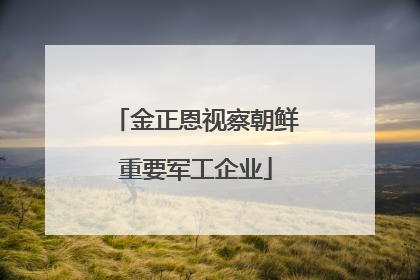 金正恩视察朝鲜重要军工企业