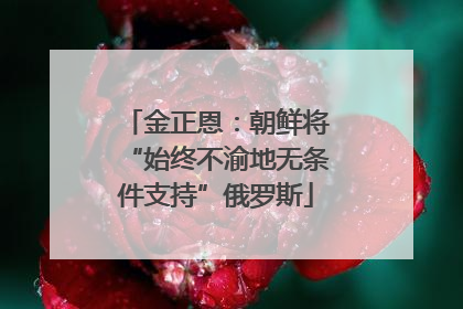 金正恩：朝鲜将“始终不渝地无条件支持”俄罗斯