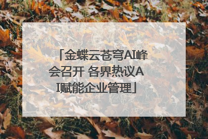金蝶云苍穹AI峰会召开 各界热议AI赋能企业管理