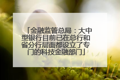 金融监管总局：大中型银行目前已在总行和省分行层面都设立了专门的科技金融部门