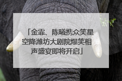 金霏、陈曦携众笑星空降潍坊大剧院爆笑相声盛宴即将开启