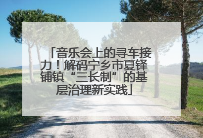 音乐会上的寻车接力！解码宁乡市夏铎铺镇“三长制”的基层治理新实践