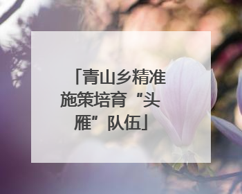青山乡精准施策培育“头雁”队伍