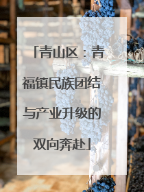 青山区：青福镇民族团结与产业升级的双向奔赴